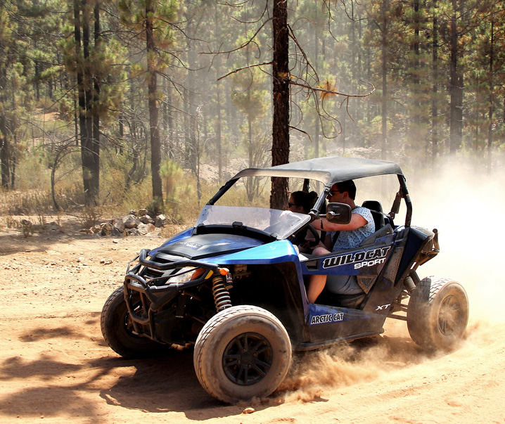 safari buggy