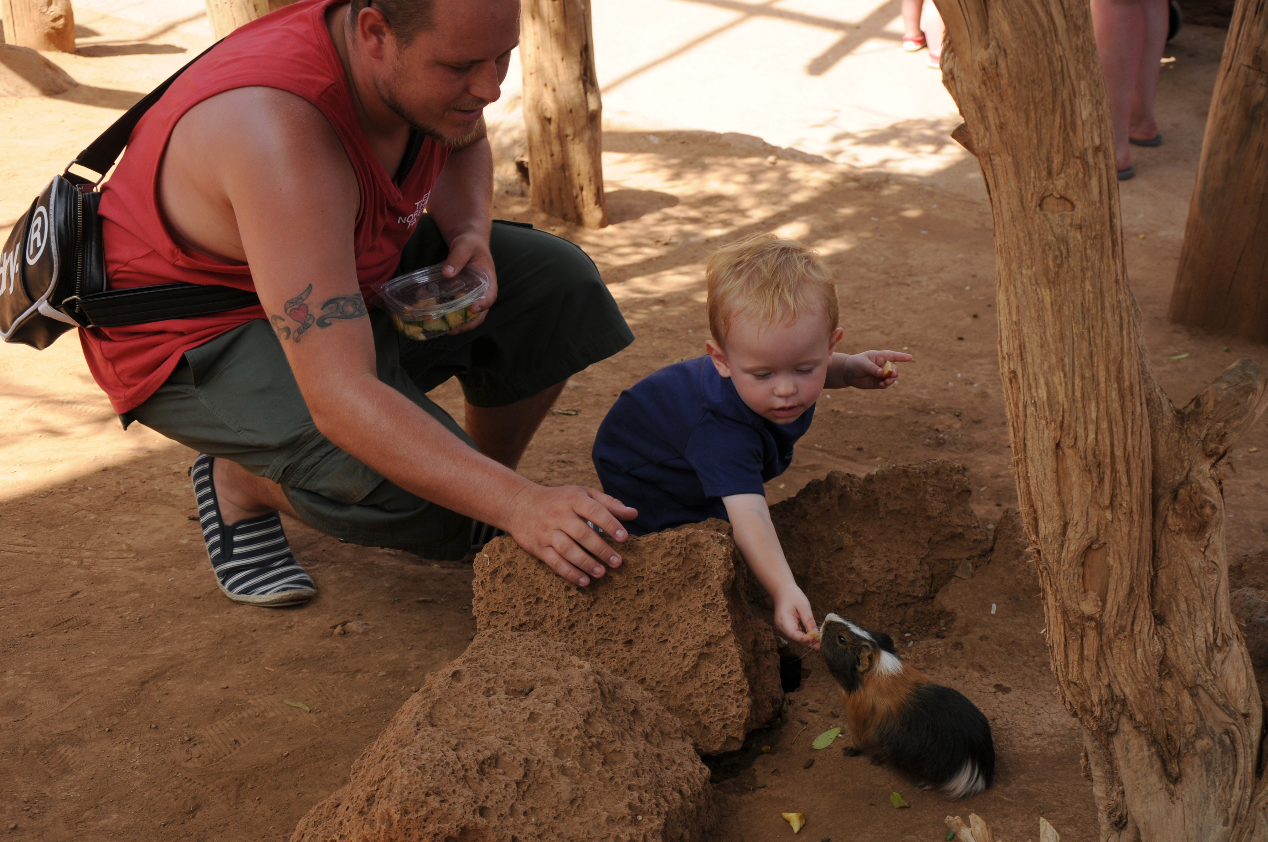 Cobaya with Child