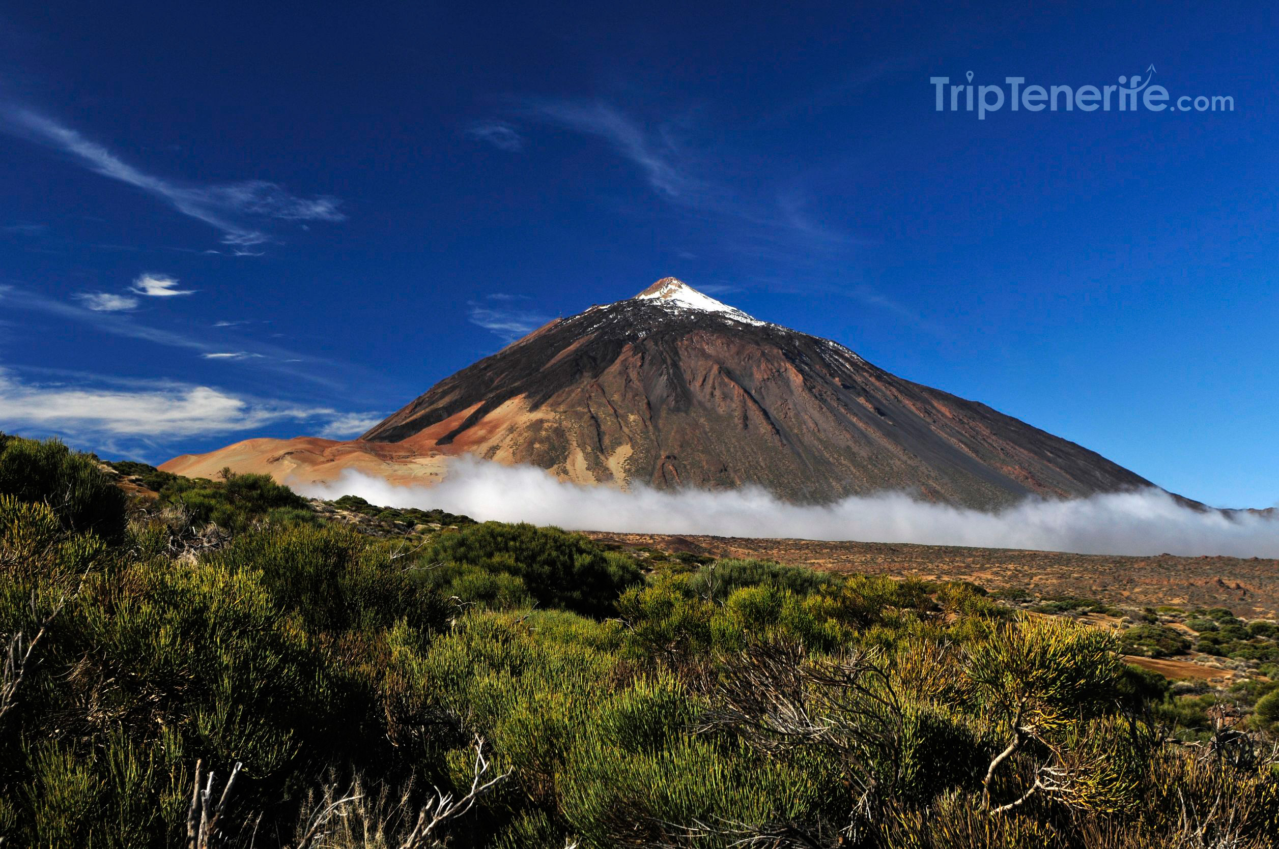 Trip to the Mount Teide National Park in Tenerife