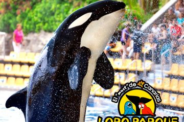 Loro Parque