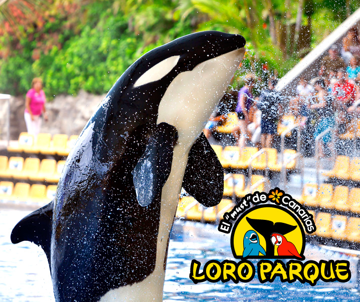 Loro Parque - Nº1 Zoo Park in Tenerife - Buy your Tickets Online