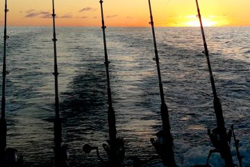 No Limit Fishing Tenerife