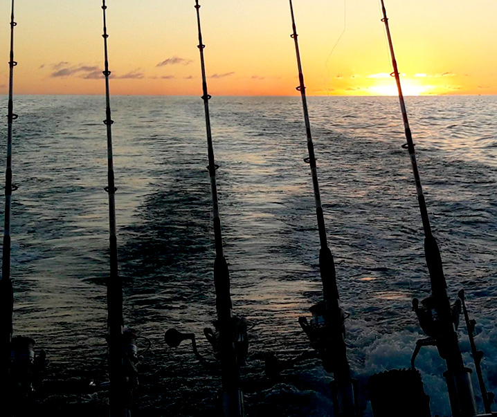 No Limit Fishing Tenerife