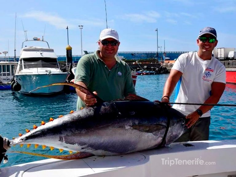 Fishing in Tenerife with No Limit Book online with