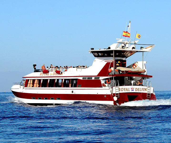 royal delfin cruise tenerife