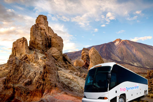 Teide, Masca, Garachico and Icod Tour