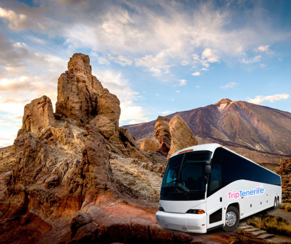 tenerife trips excursions