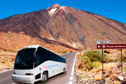 Teide National Park Tour