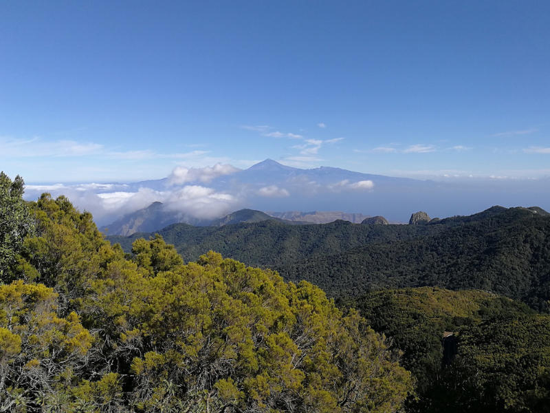Garajonay National Park
