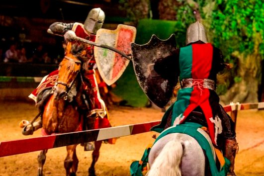 Medieval Show and Dinner