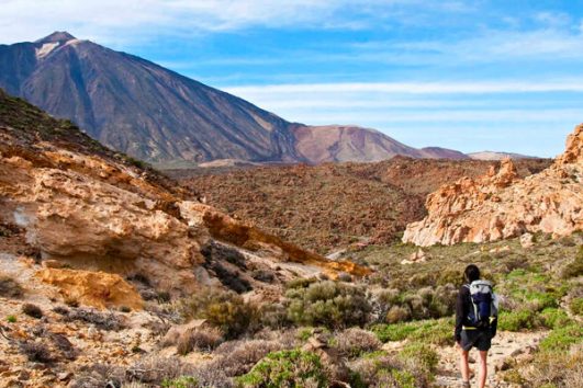Hiking Trails in Tenerife