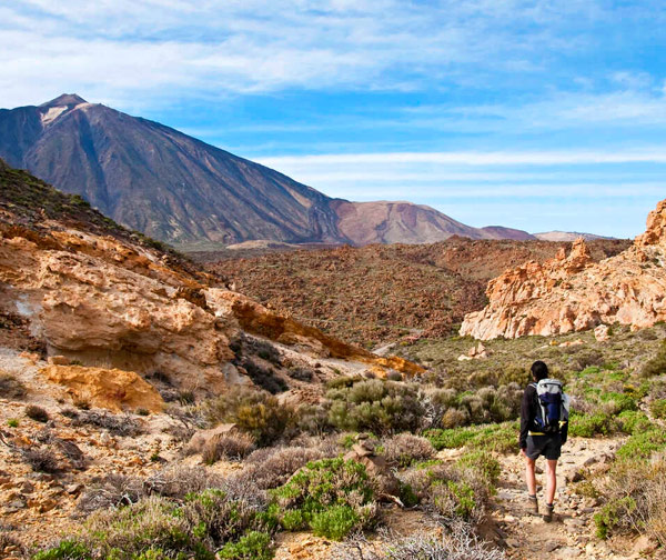 trip to tenerife