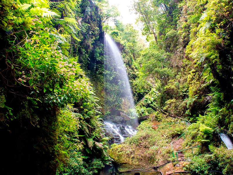 la-palma-bus-tour-triptenerife